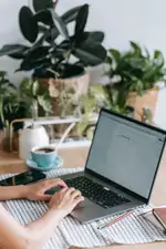 Taxe si impozite locale - Online