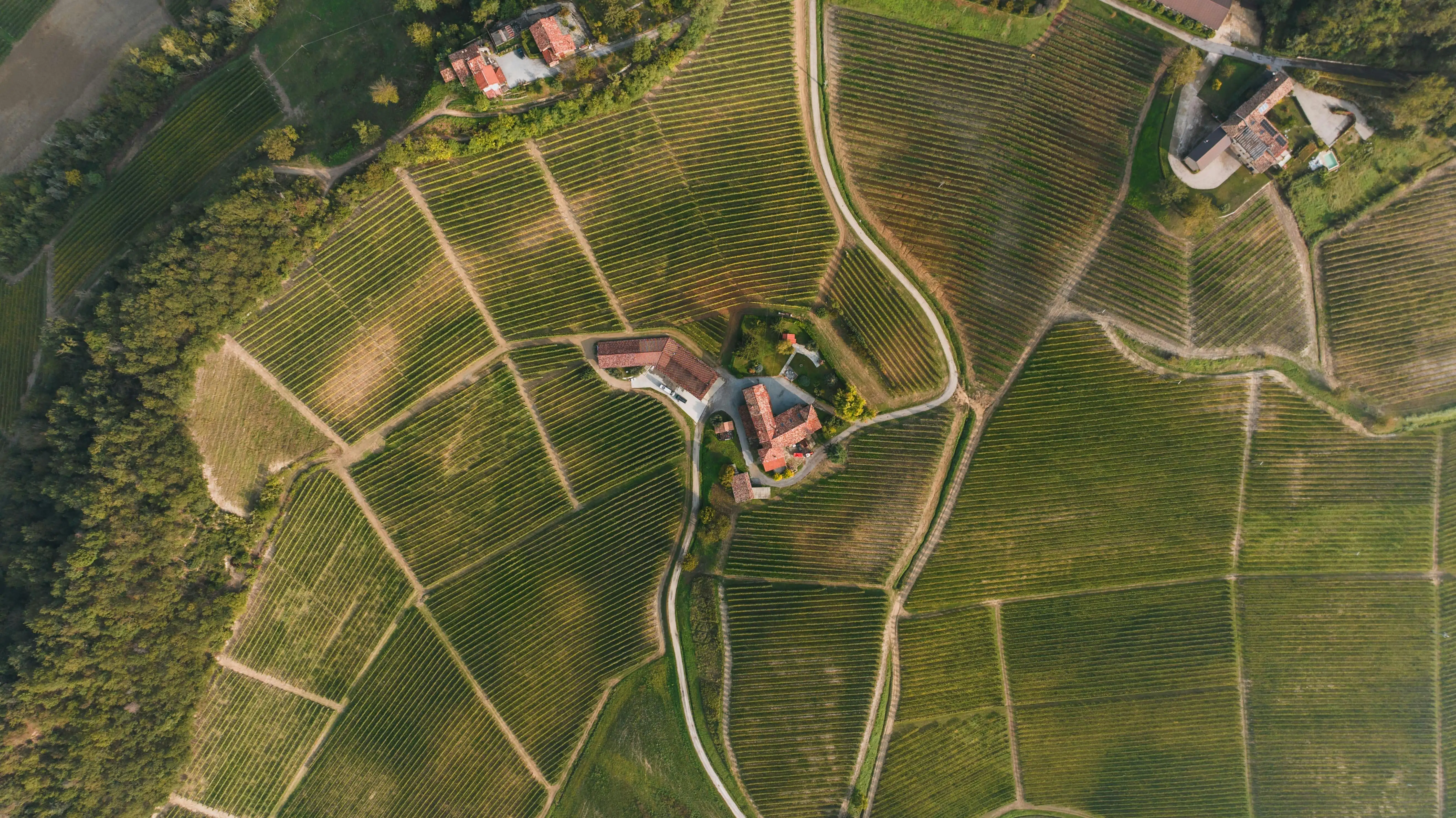 WEBINAR ONLINE: REGISTRUL AGRICOL ELECTRONIC